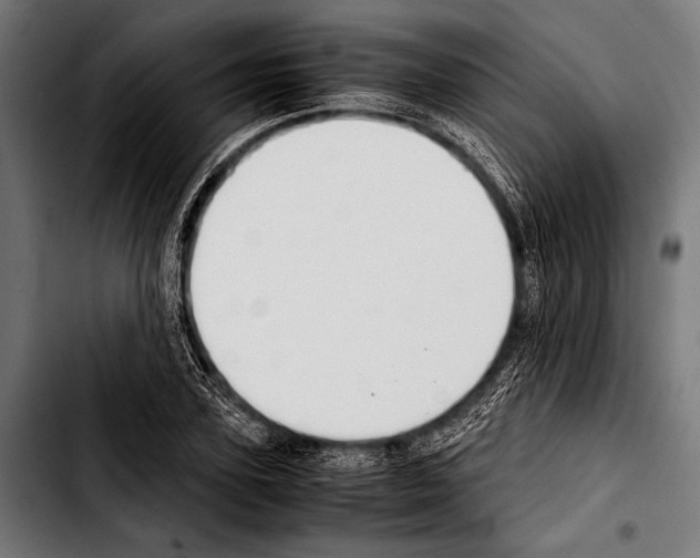 X0000103330931200810171421