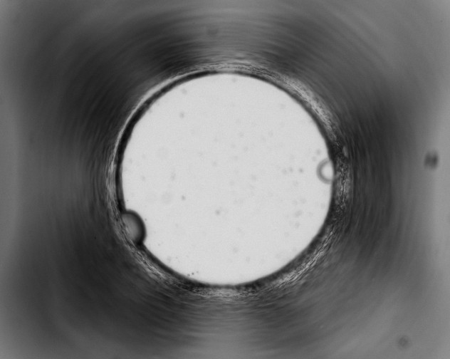 X0000103330932200810171421