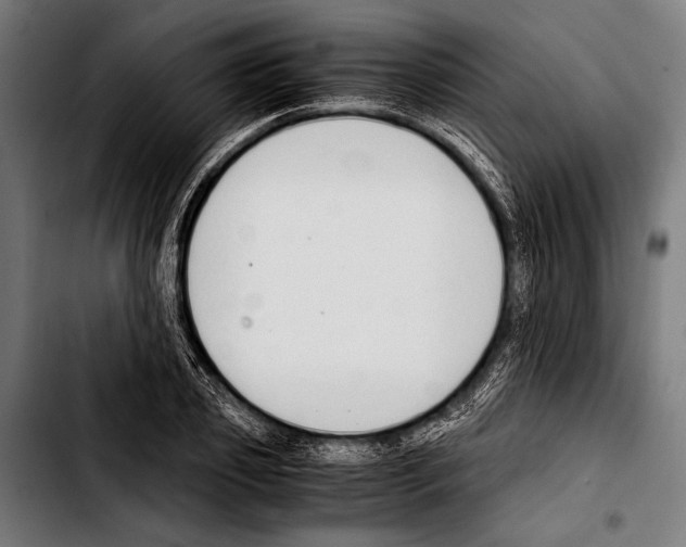 X0000103330933200810171421