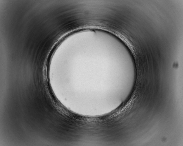 X0000103330934200810171421