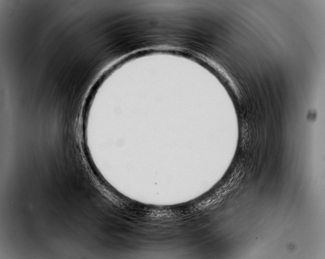 X0000103330935200810171421