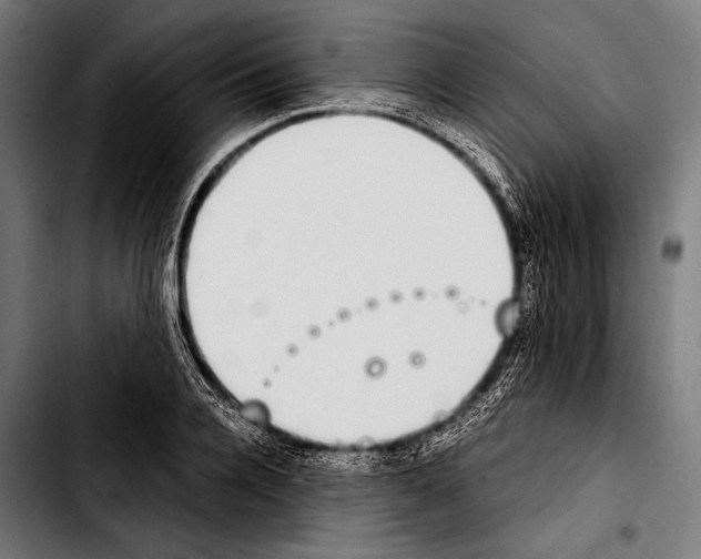 X0000103330936200810171421