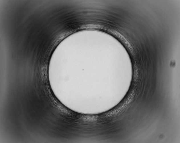 X0000103330937200810171421