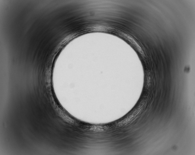 X0000103330938200810171421