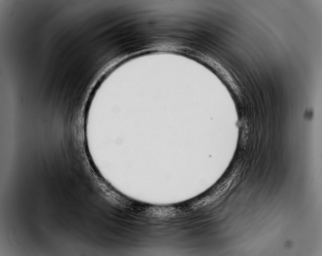 X0000103330939200810171421