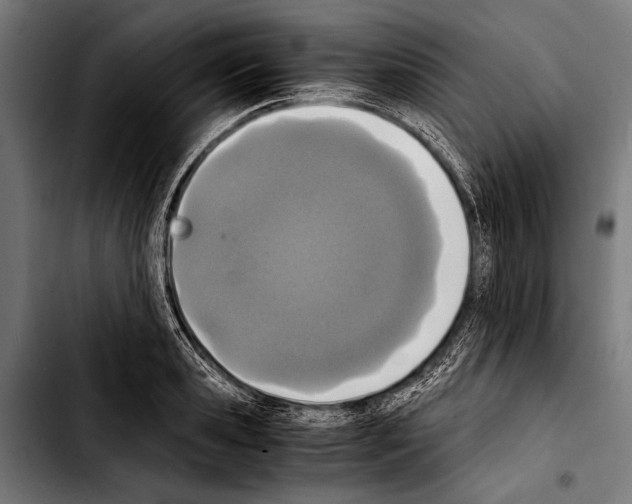 X0000103330941200810171421