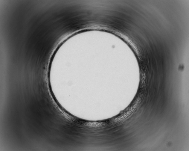 X0000103330943200810171421