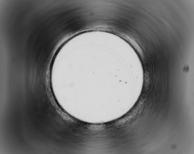 X0000103330944200810171421