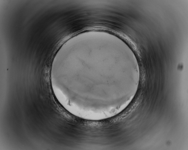 X0000103330945200810171421