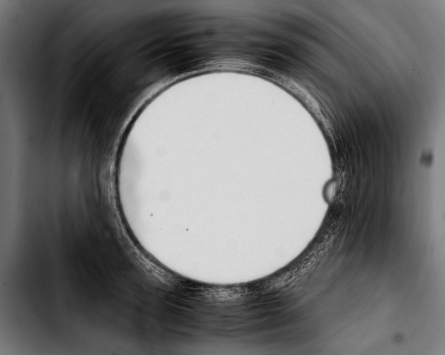 X0000103330947200810171421