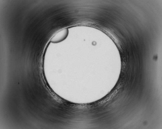 X0000103330948200810171421