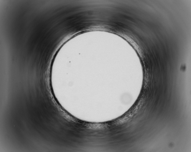 X0000103330949200810171421