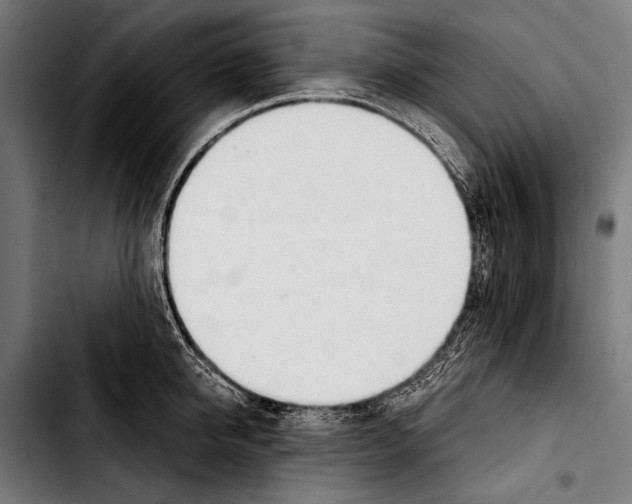 X0000103330950200810171421