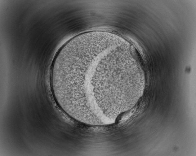 X0000103330952200810171421