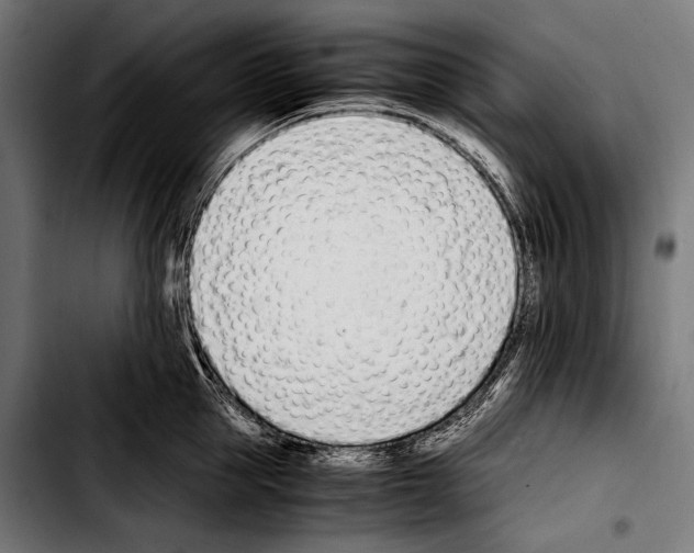 X0000103330953200810171421