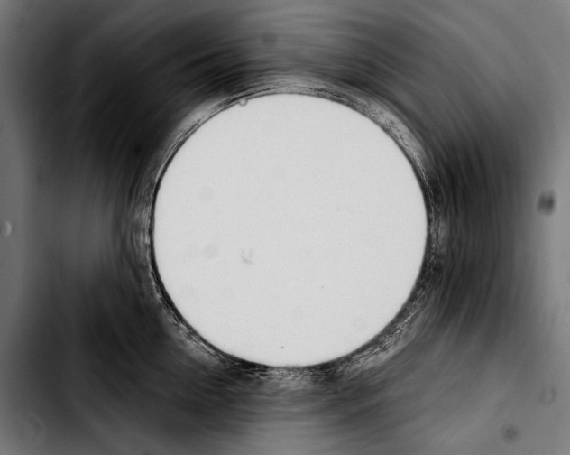 X0000103330954200810171421