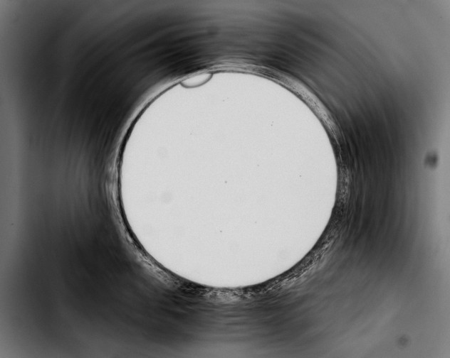 X0000103330955200810171421