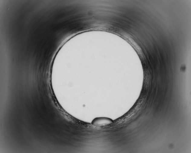 X0000103330956200810171421