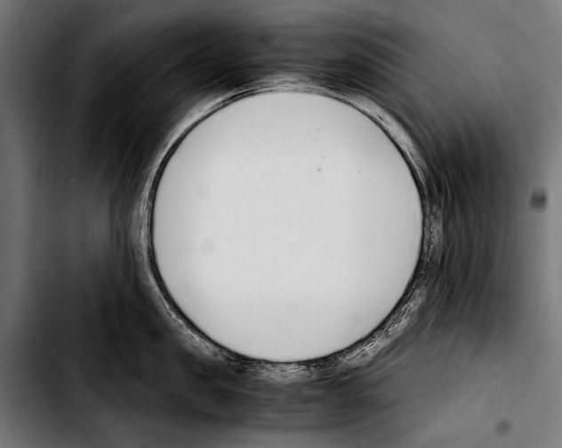 X0000103330957200810171421