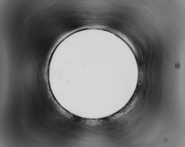 X0000103330959200810171421