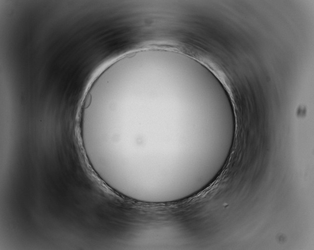 X0000103330960200810171421