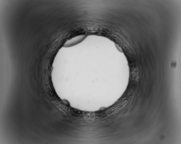 X0000103330961200810171420