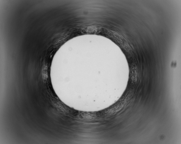 X0000103330962200810171420