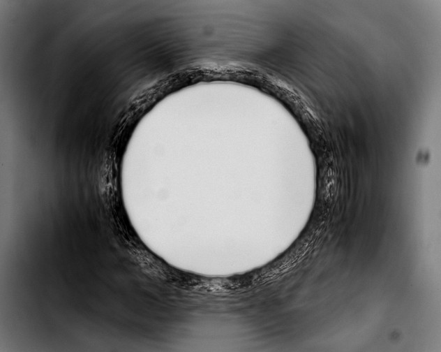 X0000103330966200810171420