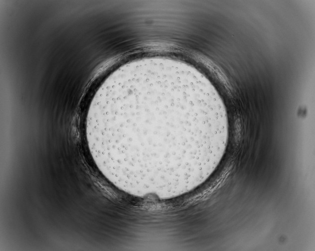 X0000103330970200810171420