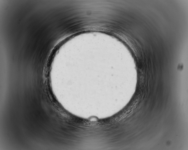 X0000103330971200810171420