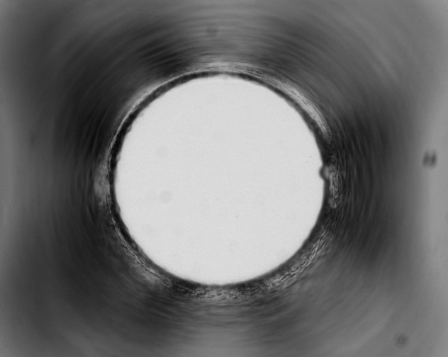 X0000103330972200810171420