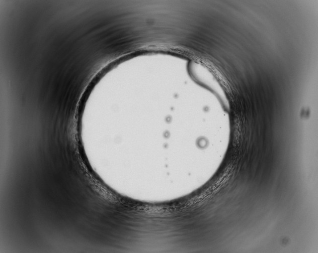 X0000103330976200810171420