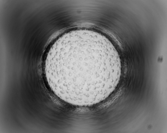 X0000103330978200810171420