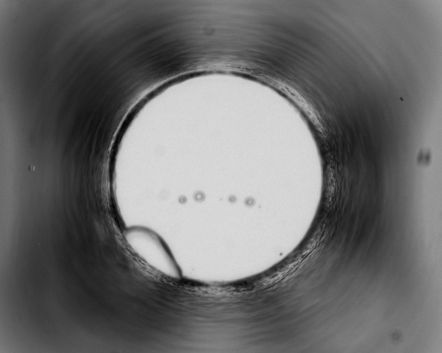 X0000103330980200810171420