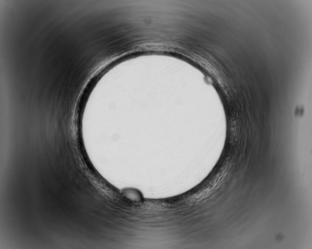 X0000103330981200810171420