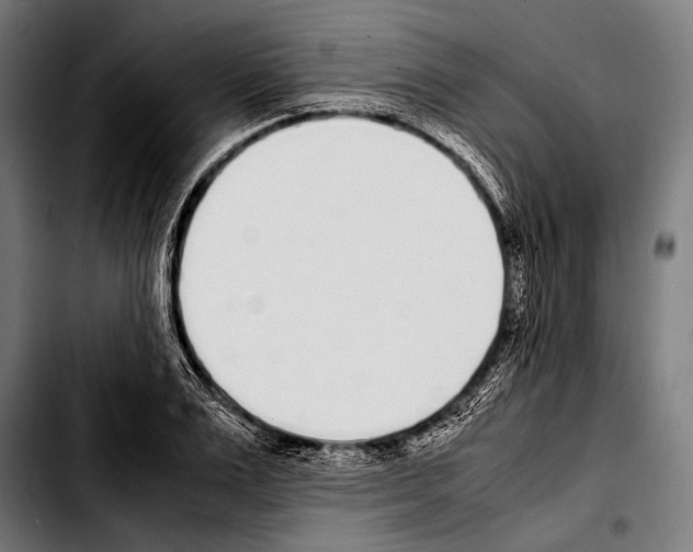 X0000103330983200810171420