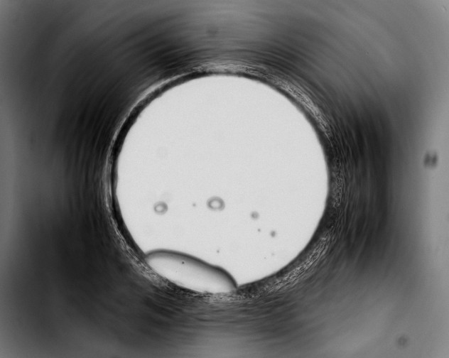 X0000103330984200810171420