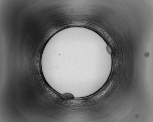 X0000103330985200810171420