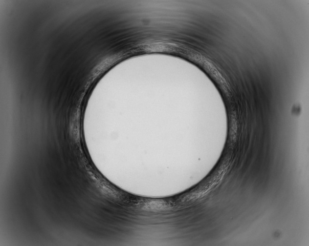 X0000103330986200810171420