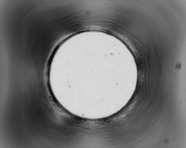 X0000103330987200810171420