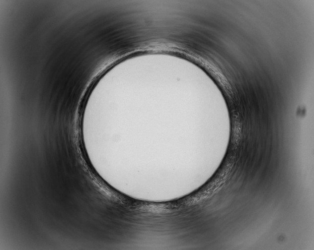 X0000103330990200810171420