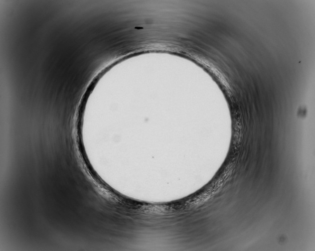 X0000103330991200810171420