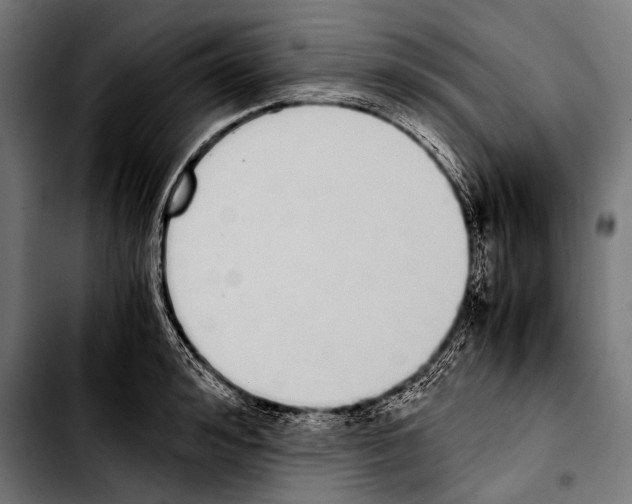 X0000103330992200810171420