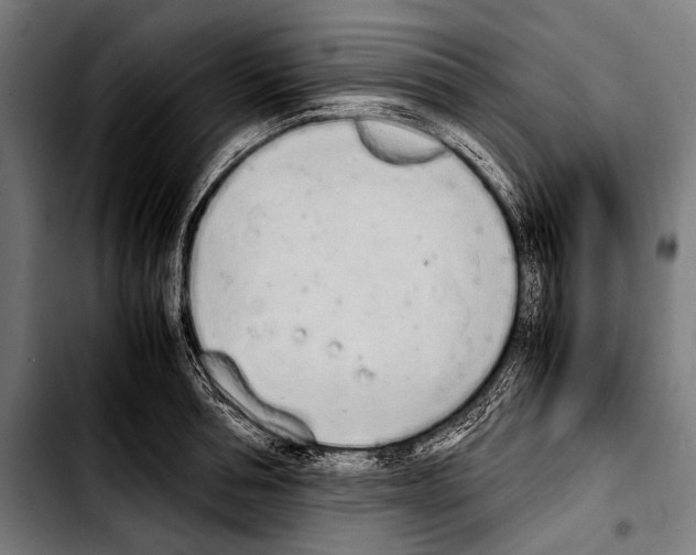 X0000103330994200810171420