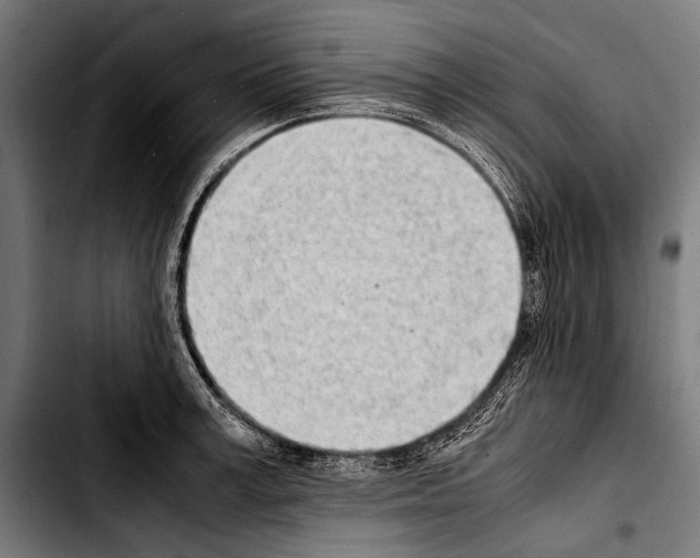 X0000103330995200810171420