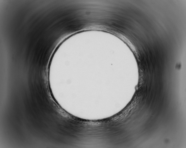 X0000103330996200810171420