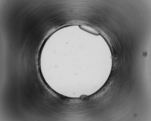 X0000103330997200810171420