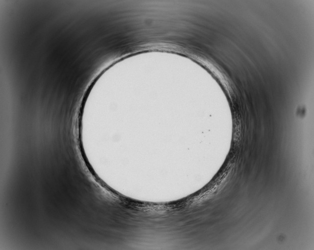 X0000103330999200810171420