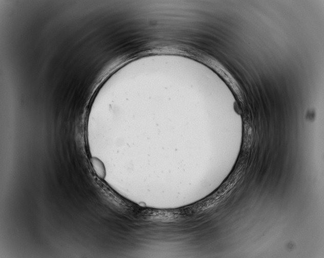 X0000103331002200810171420