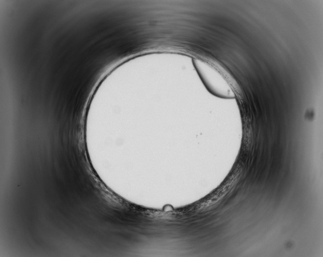 X0000103331004200810171420